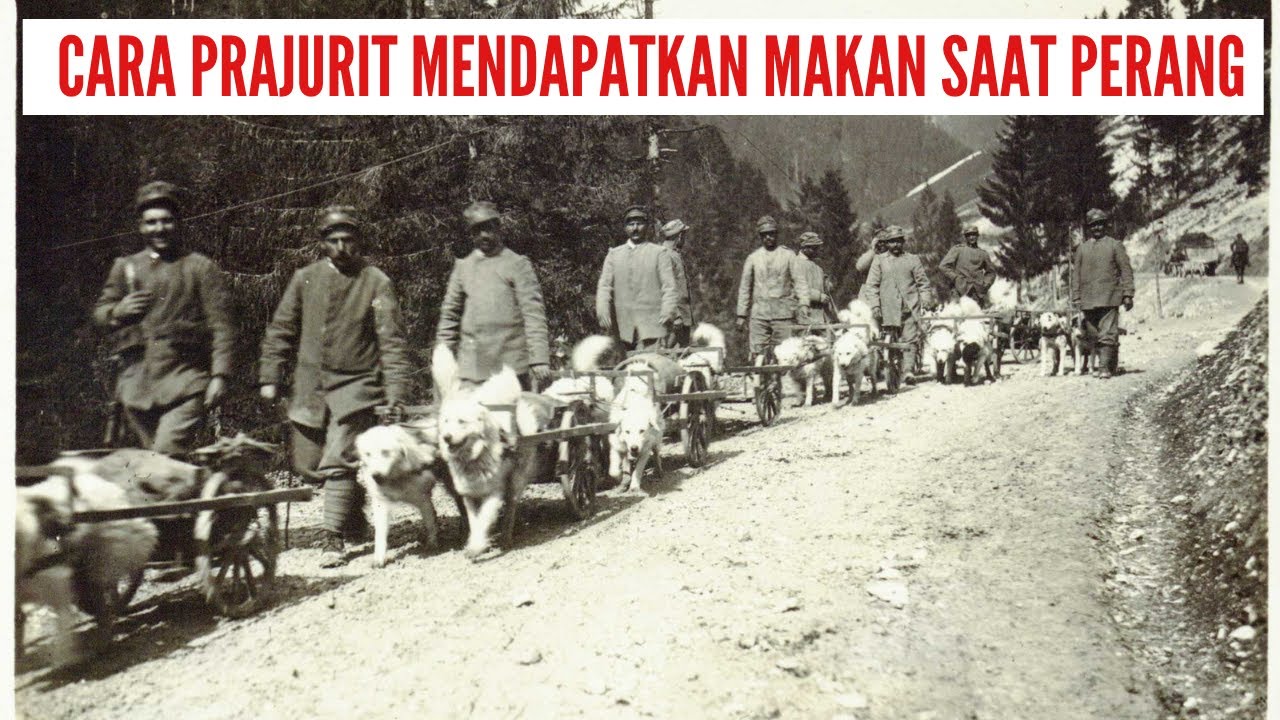 CARA SUPPLY LOGISTICS PADA SAAT PERANG