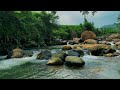 Relaxing River Flow in a Tranquil Forest – White Noise for Studying, Meditating, and Deep Sleep