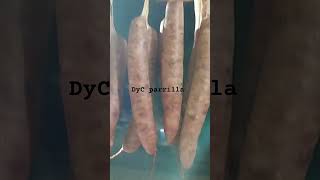 DyC parrilla variante sur encuentras chorizos santarrosano pinchos de pollo carne cerdo alitas 😋