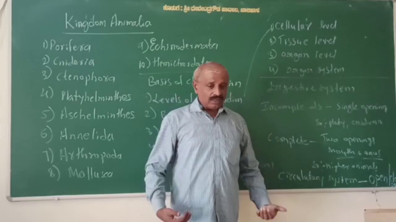 kingdom Animalia pucI