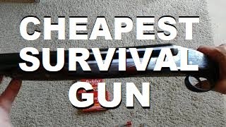The Cheapest Survival Gun For Hunting And Home Defense