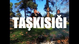 Taşkısığı Sakarya - - - 50