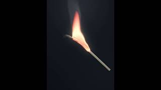 Using houdini to create the effect of a match from lit to extinguished.#animation #houdini #3d #vfx