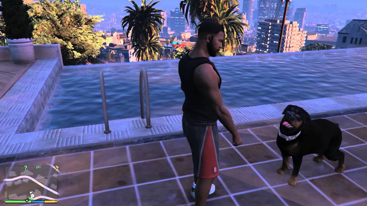 Grand Theft Auto V: Como enseñarle trucos/ desbloquear collares y aumentar  la felicidad de chop - YouTube