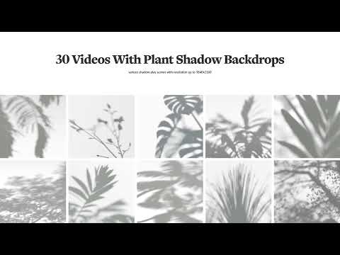Plant Shadow Backdrops Video Bundle, a Mockup by rebrandy (Thumbnail 4 of 24)