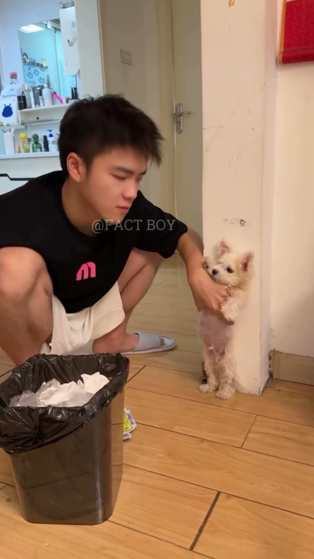 Training the boy's dog #shortvideo