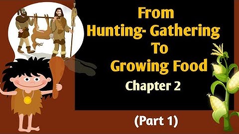 NCERT -Class 6 History | Chapter 2 : From Hunting Gathering to Growing Food