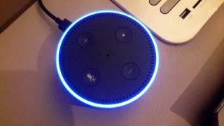Alexa Answers: Pokemon Wikipedia