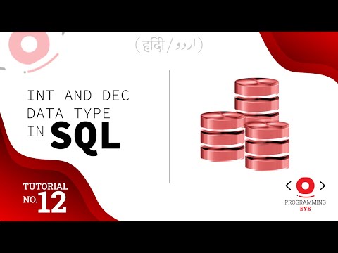 INT and DEC Data Type in SQL | Lecture 12 | Hindi / Urdu | Programming Eye