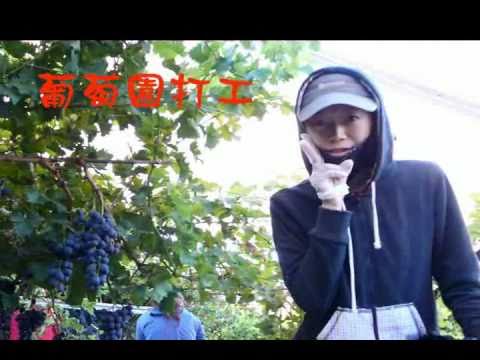傑瑞與娜塔莎的婚禮MV