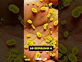 🚨 ¿Los secadores de manos ensucian tus manos? 😱