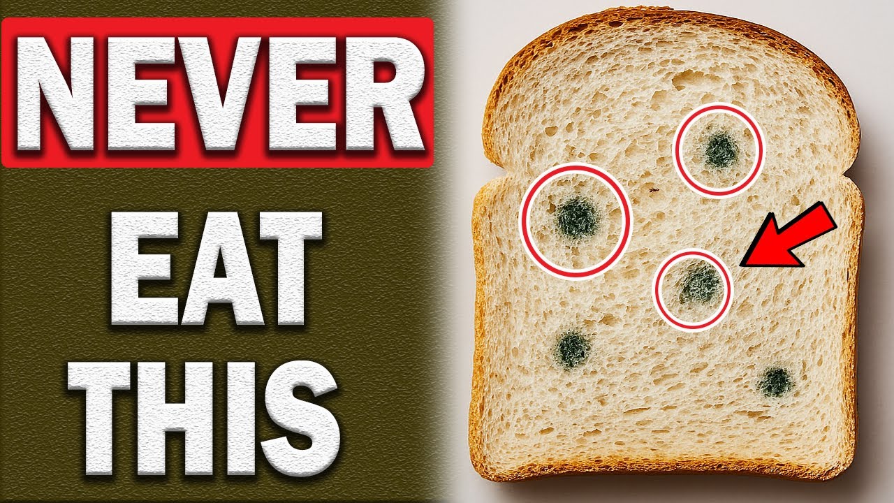 NEVER Eat The "Clean" Part of Moldy Bread! (Dangerous Myth)