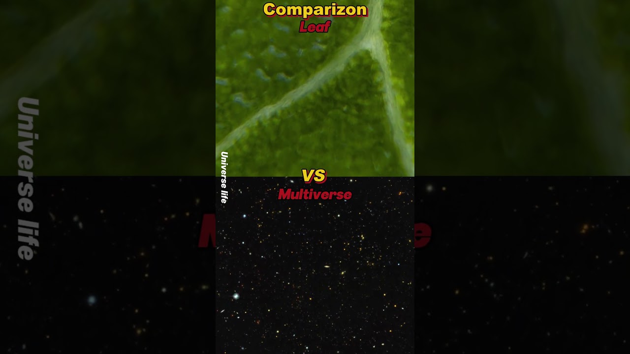 Leaf Vs Multiverse Zoom In/In Comparizon 