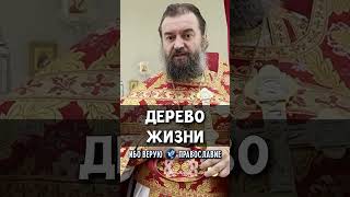 Дерево жизни | прот. Андрей Ткачев