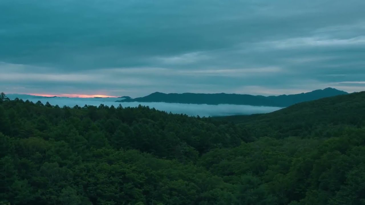 Calming Deep Sleep | Relaxing Deep Sleep Rain Music |