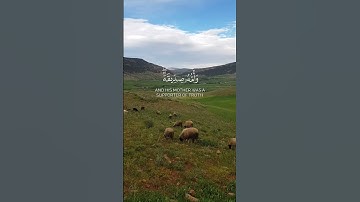 تلاوة عطرة ❤️#تلاوة_خاشعة #تلاوة_هادئة #تلاوة_قصيرة #تلاوة #تلاوة_نادرة_لاول_مرة