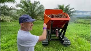 Cargador Buffalo Dumper 3 Ton - Palma Africana - Venezuela