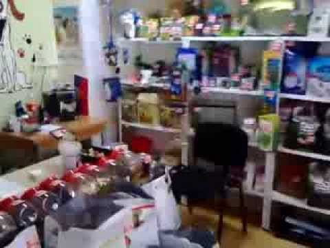 novi pet store novi pet store