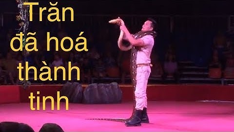 XEM XIẾC TRĂN KHỔNG LỒ