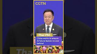 Thai PM: China works to ensure AI future leaves no one behind