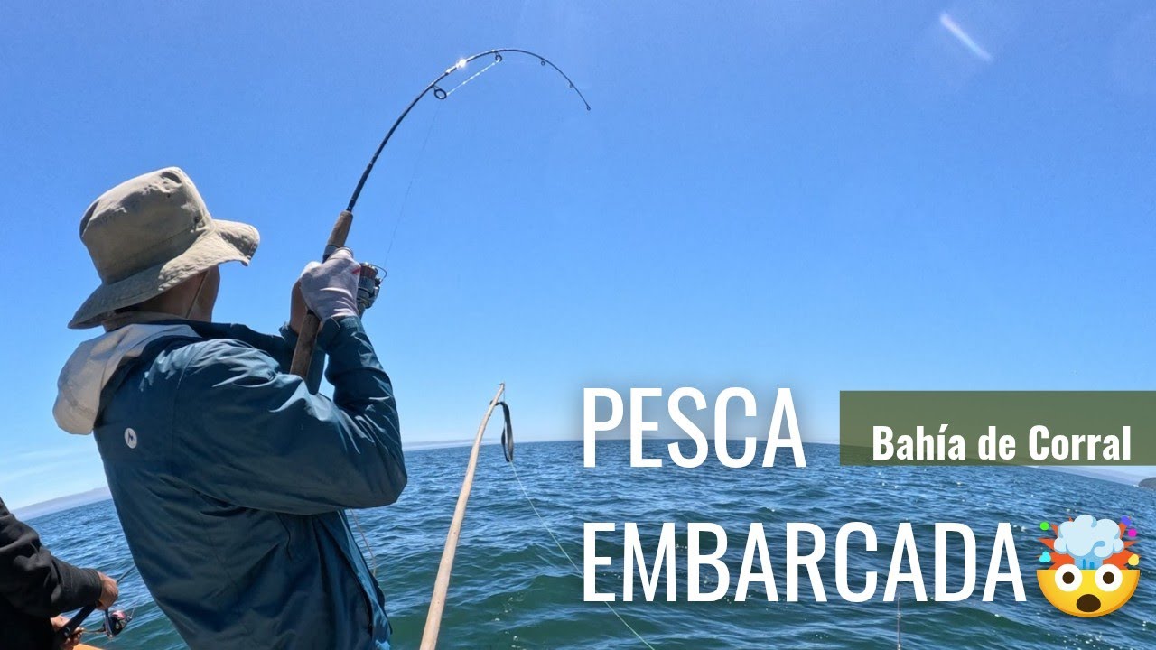 SALMÓN CHINOOK, SIERRAS, ROLLIZOS, BLANQUILLOS Y MUCHO MAS 🤯 Una LOCURA esta pesca embarcada 🔥 VOL I