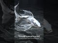 📩 VirtualFinancePro.com | Real-time AI Bookkeeping