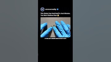 This Robot Can Heal Itself In Minutes. You Won