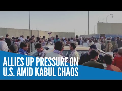 Allies up pressure on U.S.  amid Kabul chaos