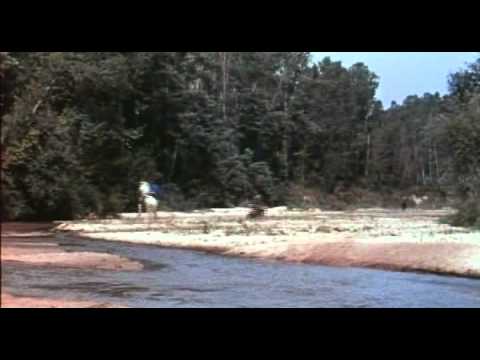 summertime killer (1972) trailer