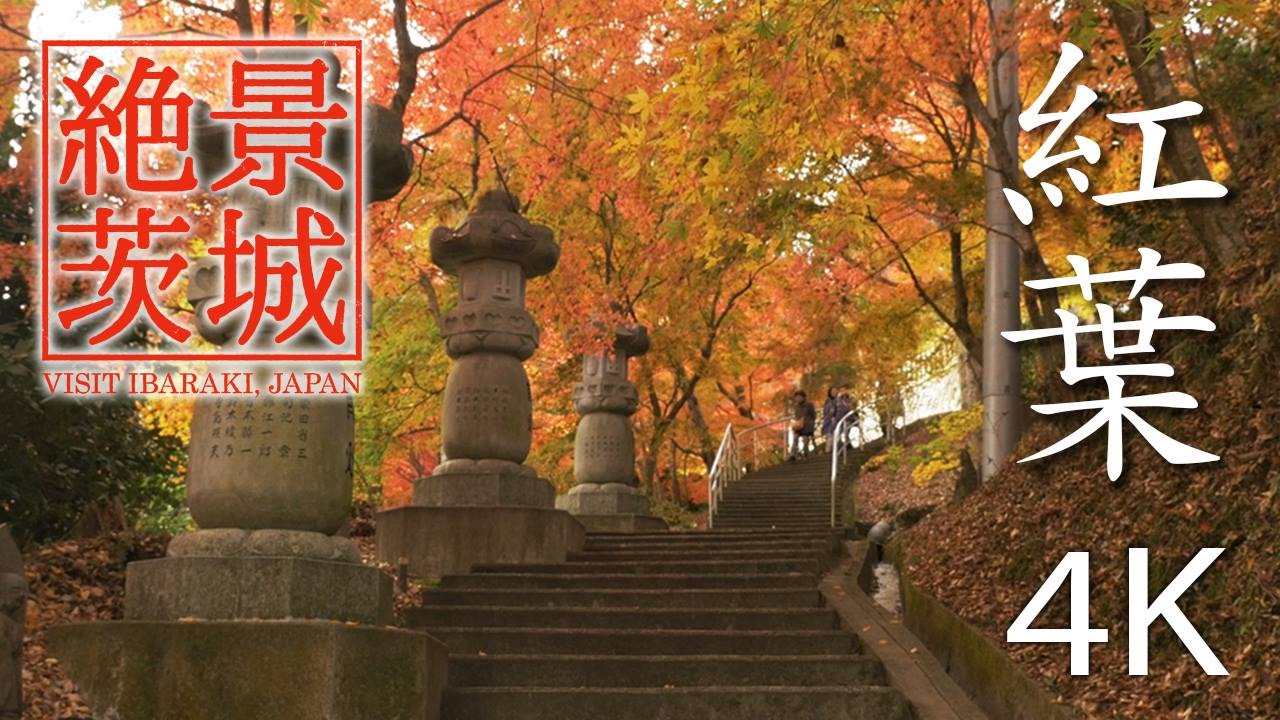 絶景茨城 紅葉 4k Visit Ibaraki Japan Youtube