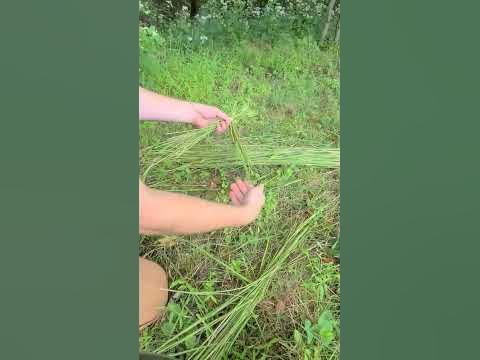 Making Rope out of Grass 