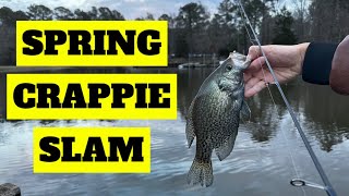 This Fish Was MAD at the WORLD! Early Spring Crappie Slam From the Bank