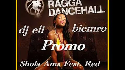 Shola Ama Feat  Red Rat remix