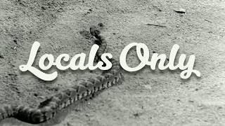 Nobody Aka Willis Earl Beale Locals Only Session Live On Kxci Nobody Aka Willis Earl Beale Locals Only Session Live On Kxci