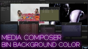 MEDIA COMPOSER 2018 | BIN BACKGROUND COLOR