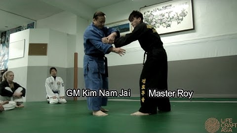 Hapkido Practitioner - Sung Moo Kwan