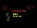 ガイモンワンピース ガイモンワンピース