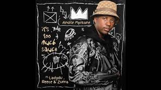 Andile Mpisane – It’s Too Much Sauce (Official Audio) ft. Lady Du, Reece Madlisa & Zuma