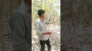 apna gaw ka Jungle danger hai aur darawana bhi hai khubsurat hai