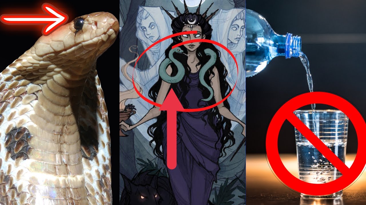 Shhhh! The Bible connection with WORMWOOD.