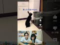笑ったら即ビンタ！！