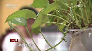 CCTV12《一线》:越界的代价