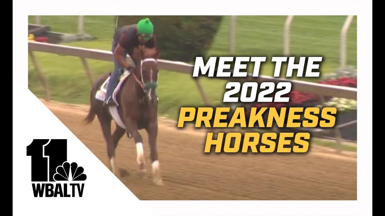 Here's Everything You Need to Know About the 2022 Preakness ...