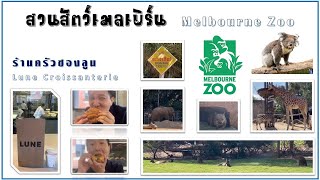 Melbourne Vlog Ep.6 : ลูนร้านครัวซองที่คิวยาวเป็นกิโลและMelbourne Zooสวนสัตว์ที่มีช้างไทยเป็นจุดขาย