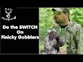 Hunting tough finicky gobbler with the switch method