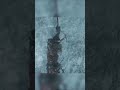 Close Escape - Lara Croft in Rise of the Tomb Raider on Nintendo Switch 2