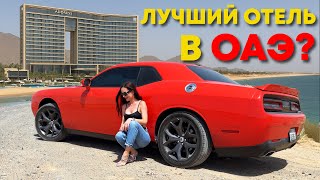ЛУЧШИЙ ОТЕЛЬ на берегу Омана? Обзор Address Beach Resort Fujairah от Анны Осиповой 🇦🇪🌴
