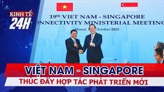 Promoting Vietnam - Singapore cooperation in a new development stage | 24h Economy