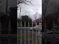 Magpie flying first then everyone followed