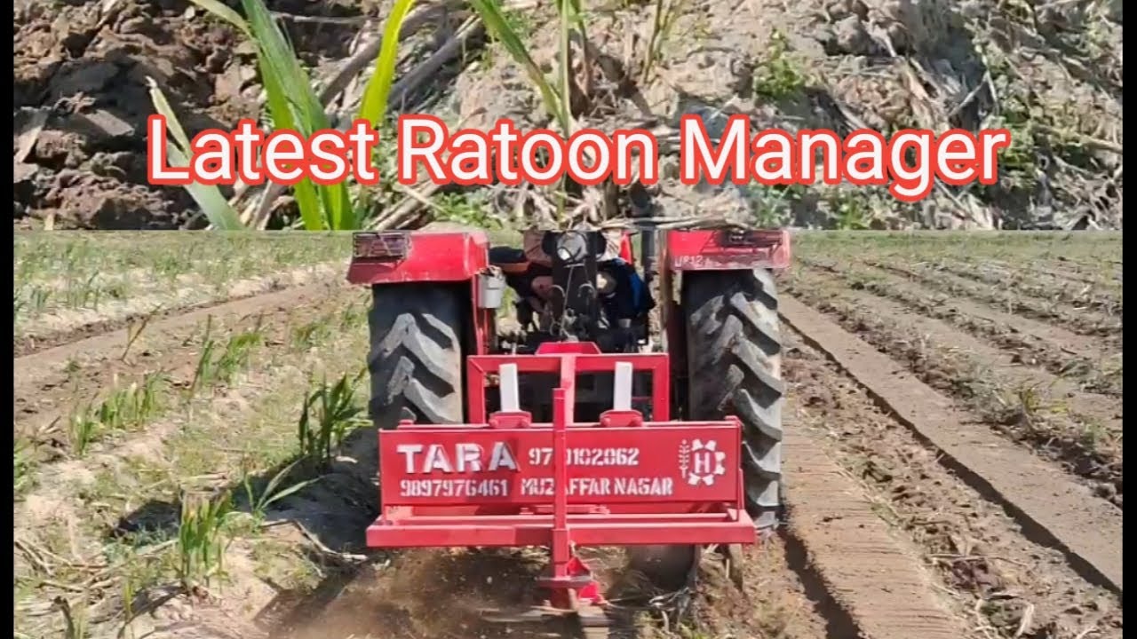 पेड़ी गन्ने की सर्वोत्तम मशीन, Latest Ratoon manager , 